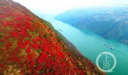 重庆巫山爆料最新消息,揭秘神秘事件背后的真相